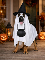 Halloween Funny Dog's Ghost Costume(Clothes + Hat + Candy Jar)