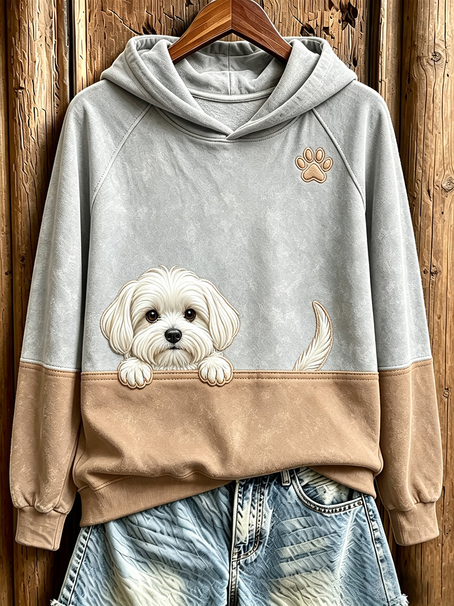 Women's  Peeking Maltese Dog & Paw Print Contrast Color Cozy Sweatshirt