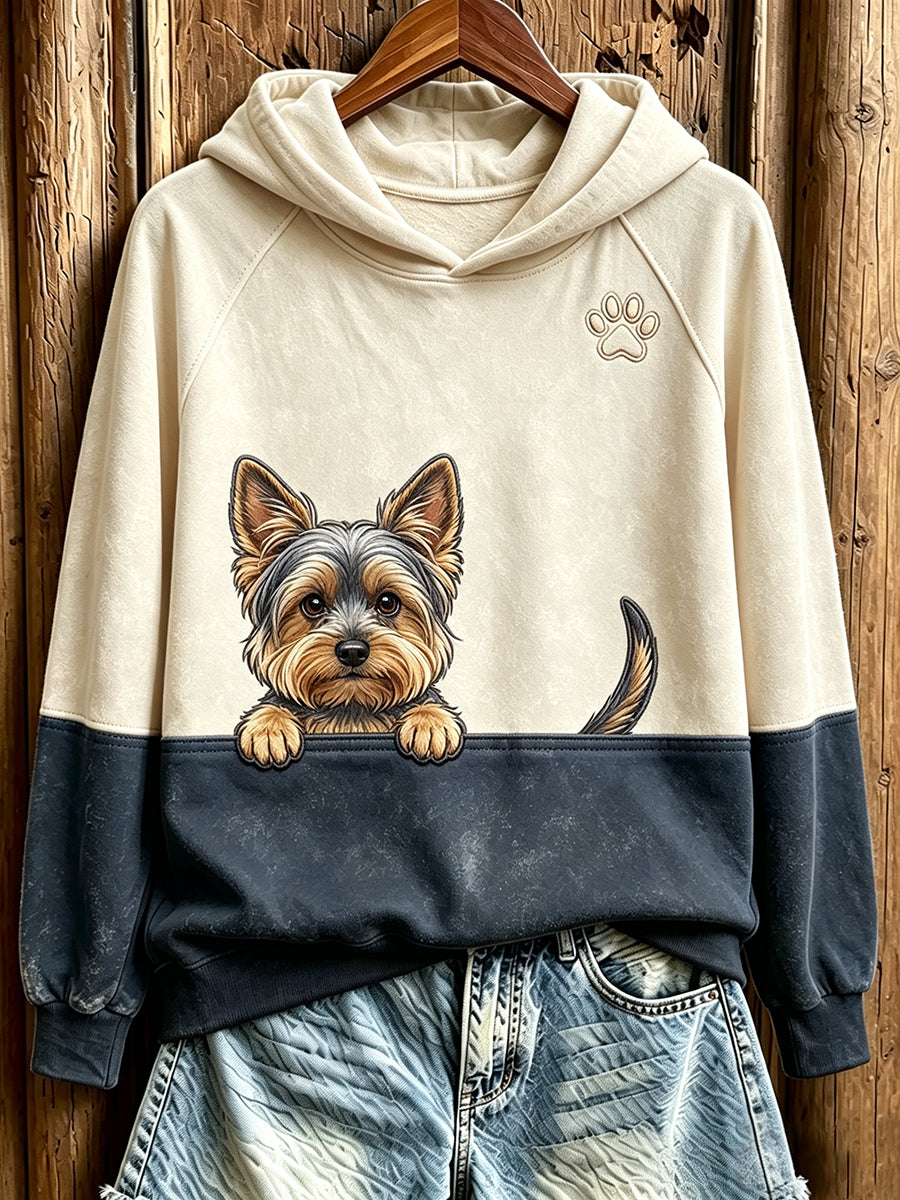 Women's  Peeking Yorkshire Terrier & Paw Print Contrast Color Cozy Sweatshirt