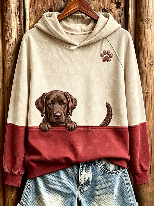 Women's  Peeking Chocolate Labrador Retriever & Paw Print Contrast Color Cozy Sweatshirt