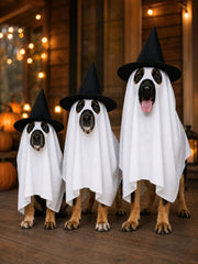Halloween Funny Dog's Ghost Costume（Clothes + Hat + Candy Jar）